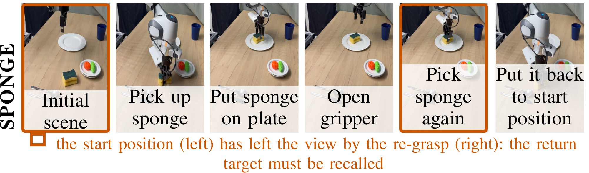 Sponge: frame sequence with the memory-dependent decision point outlined.
